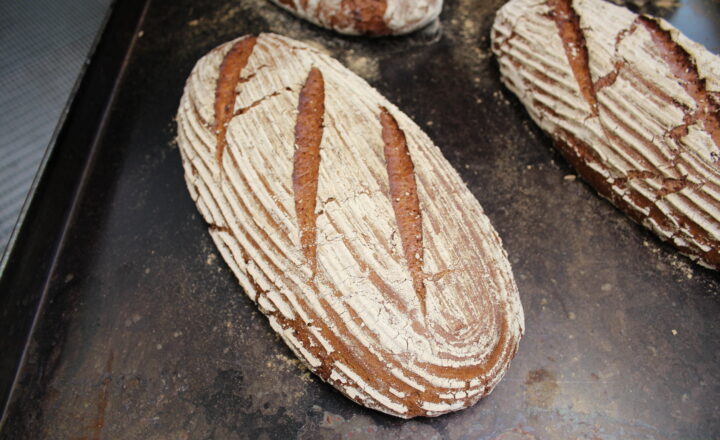 Optimal dark bread baking results