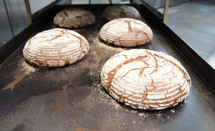 Optimale Backergebnisse von Schwarzbrot